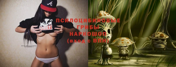 тгк Алексеевка
