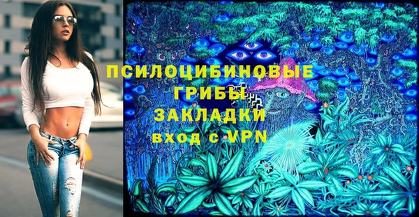 гидропоника Алзамай