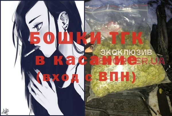 соль ск Алексин
