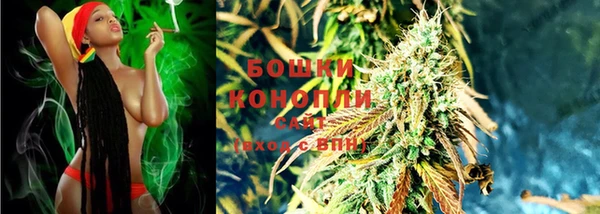 гидропоника Алзамай
