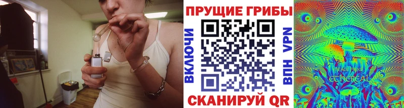 кракен как зайти  где можно купить наркотик  Струнино  Галлюциногенные грибы мицелий 